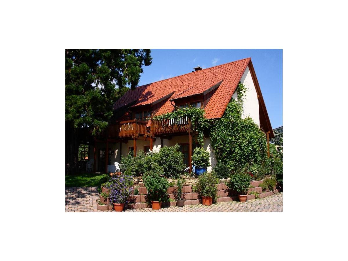 Gaestehaus Hellmer Neustadt an der Weinstraße Zewnętrze zdjęcie
